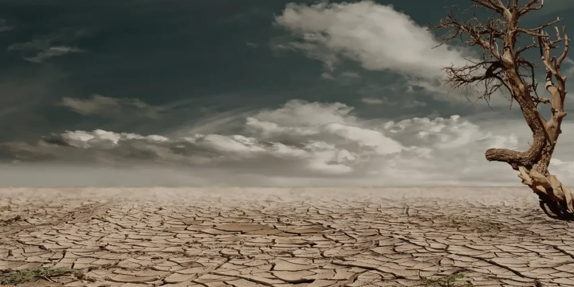 forandringsledelse - verden forandrer sig. Her ses en ørken med et enkelt spirende træ