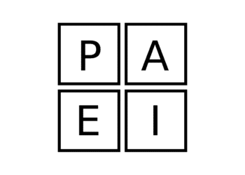 adizes lederroller i 4 firkant fra venstre mod højre P.A.E.I.