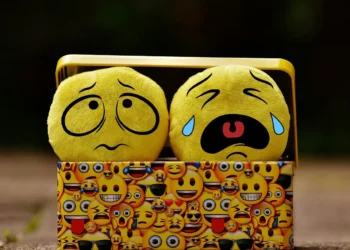 Modstand mod forandring en ked af det smiley og en bekymret smiley i en madkasse