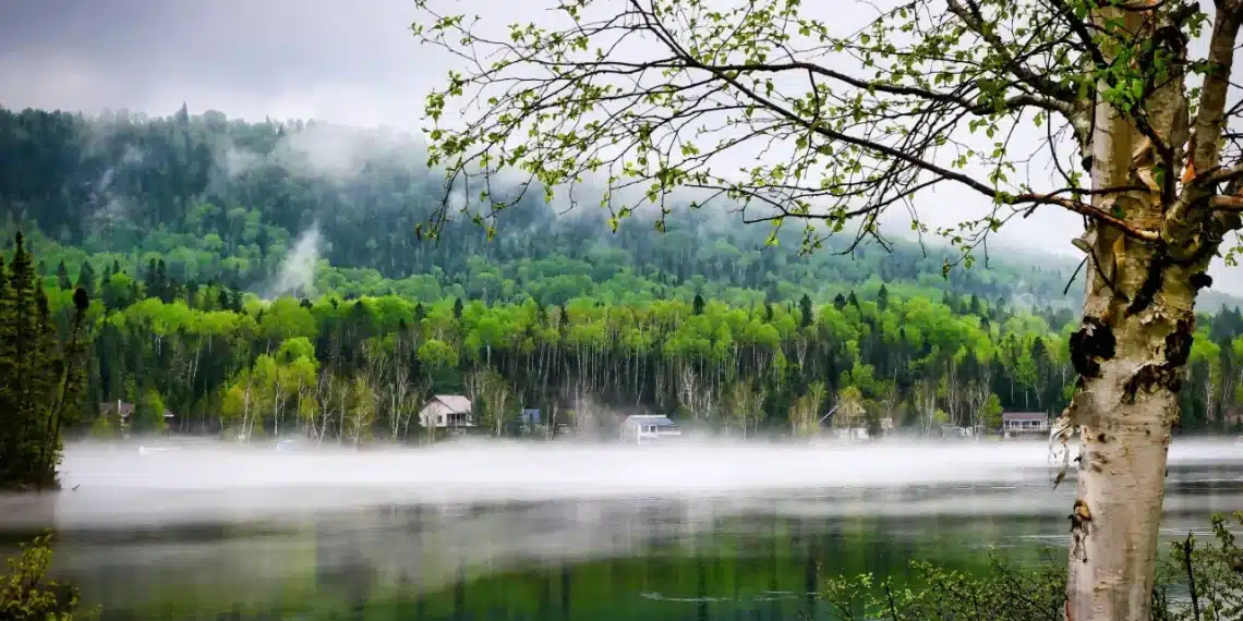modstand mod forandring huse ved flodbredden dis over søen