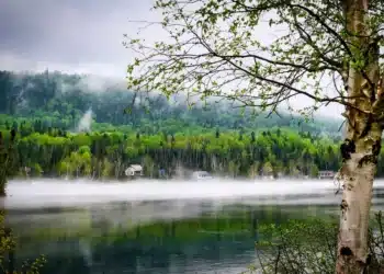modstand mod forandring huse ved flodbredden dis over søen