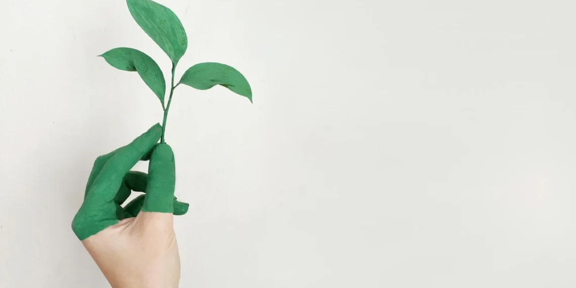 Bæredygtig ledelse - her grøn menneskehånd hvor der vokser blade ud af