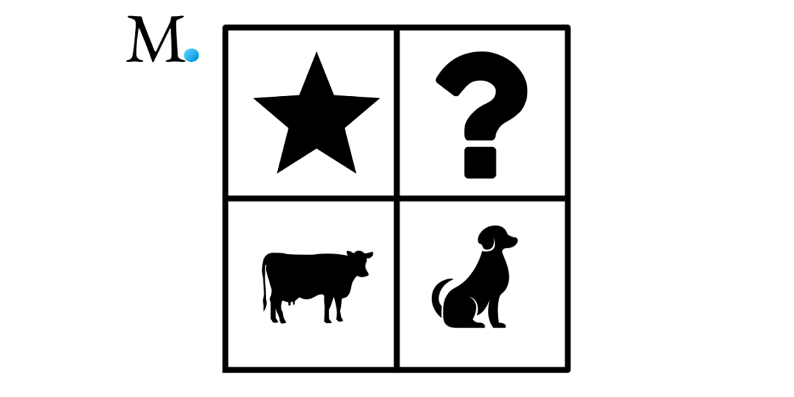 Boston modellen - malkeko - spørgsmålstegn - stjerne eller hund