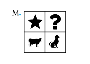 Boston modellen - malkeko - spørgsmålstegn - stjerne eller hund