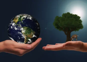 bæredygtig ledelse illustreres af to hænder med en jordklode og et træ