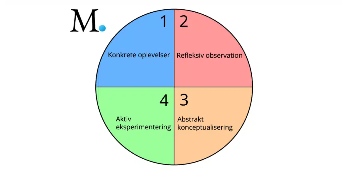 kolbs læringscirkel her forklaret med 4 inddelinger af en cirkel i 4 farver