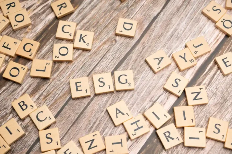 ESG står på 3 brikker mellem mange brikker