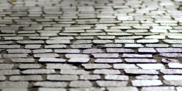 Nikolaj Mackowski her ses en brostensbelagt vej som tema til artiklen