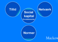 Hvad er social kapital - normer - tillid - netværk infografik på dansk