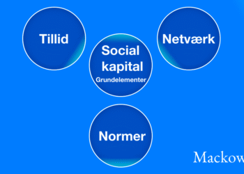 Hvad er social kapital - normer - tillid - netværk infografik på dansk