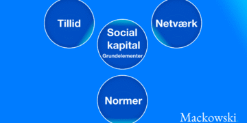 Hvad er social kapital - normer - tillid - netværk infografik på dansk