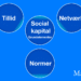 Hvad er social kapital - normer - tillid - netværk infografik på dansk