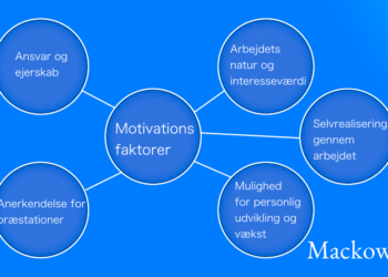 Motivationsfaktorer infografik på dansk læs nedenfor