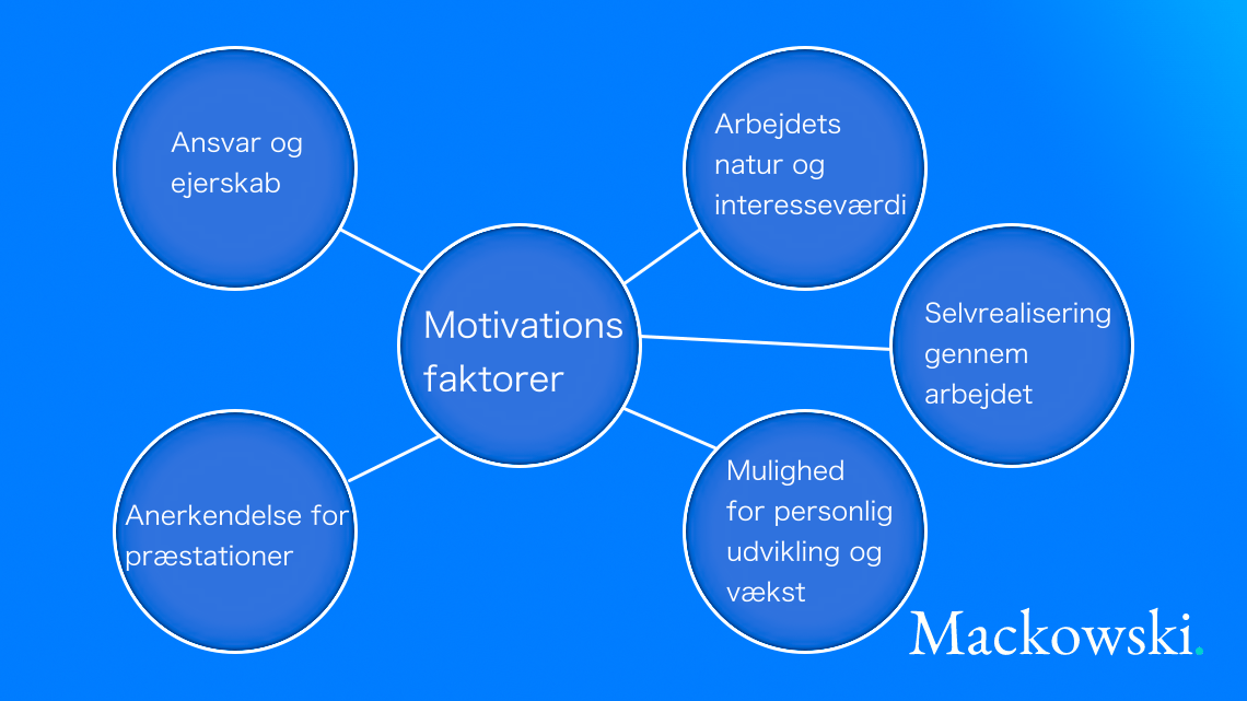 Motivationsfaktorer infografik på dansk læs nedenfor