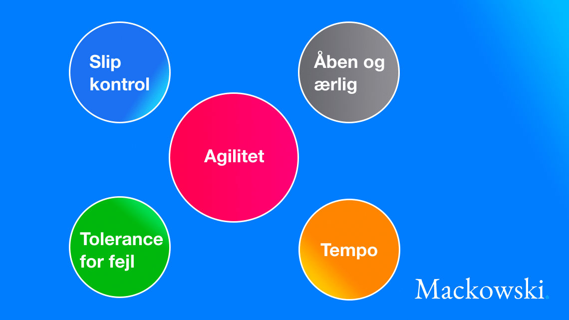 Agilitet infografik på dansk af Leder Nikolaj Mackowski