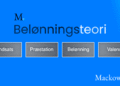Belønningsteori skematisk opbygning infografik V1.2 af Leder Nikolaj Mackowski