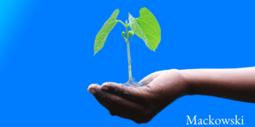 Growth mindset plante vokser i menneskehånd infobillede