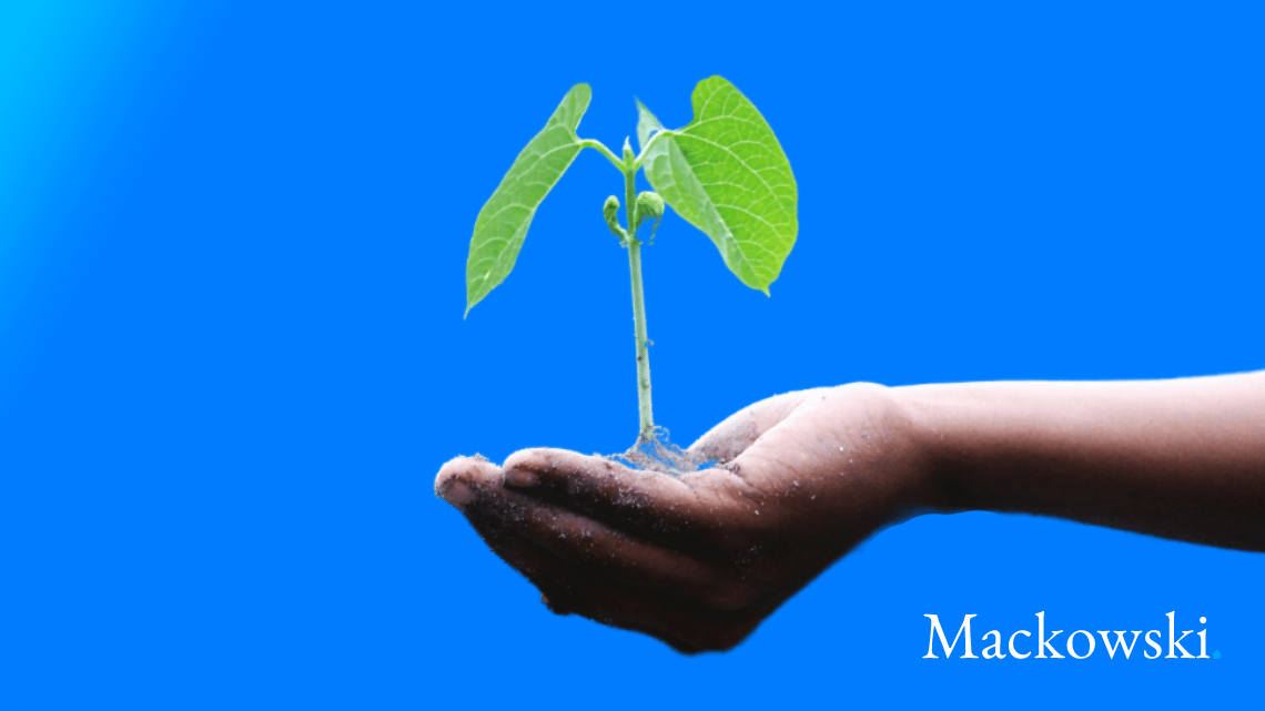 Growth mindset plante vokser i menneskehånd infobillede