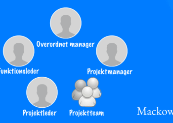 Grundstrukturen i matrixorganisation infografik på dansk