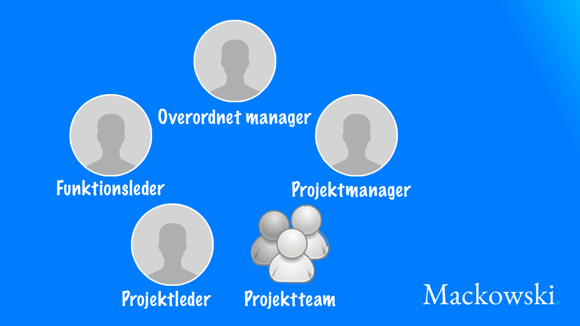 Grundstrukturen i matrixorganisation infografik på dansk