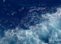 Havet som metafor for blue ocean strategy