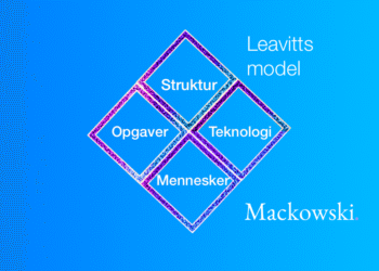 Leavitts model infografik med firekanter stillet på spidserne 1140x641px