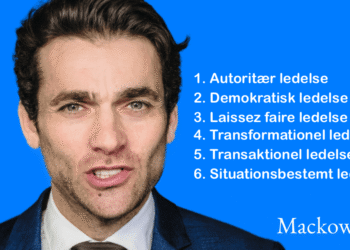 Ledelsesstile de 6 vigtigste infografik af Leder Nikolaj Mackowski