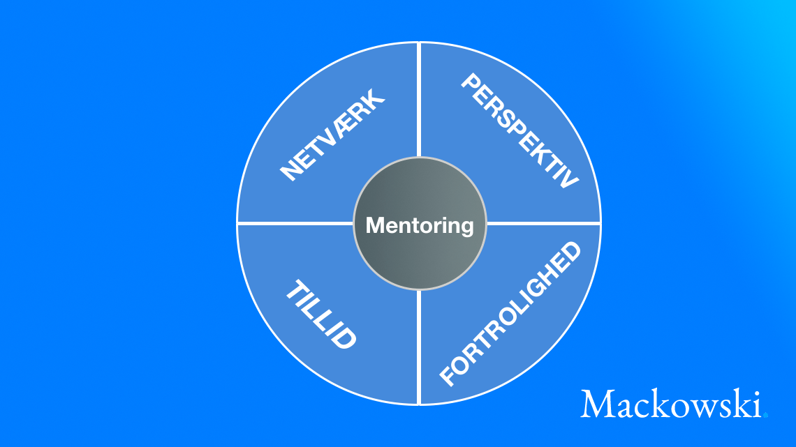 Mentoring er netværk perspektiv tillid fortrolighed infografik