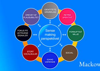 Sensemaking Meningsskabelse i kompleksitet infografik på dansk af Leder Nikolaj Mackowski