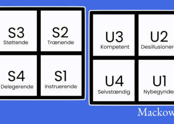 Situationsbestemt ledelse infografik af Leder Nikolaj Mackowski