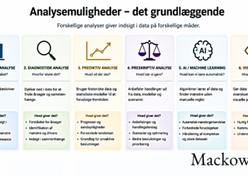 målgruppeanalyse det grundlæggende og alle modellerne infografik på dansk V1.2