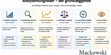 målgruppeanalyse det grundlæggende og alle modellerne infografik på dansk V1.2