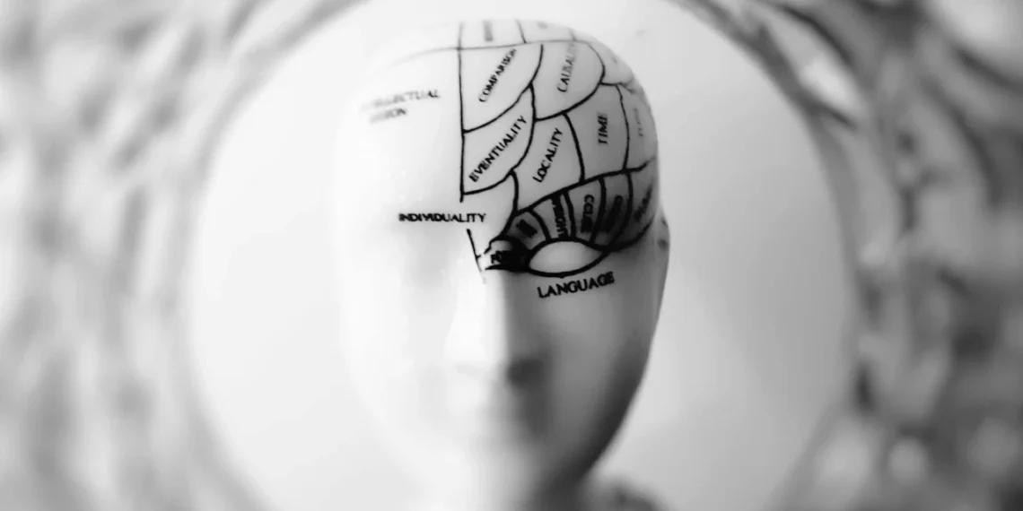 skulptur af menneskehoved som symbol for integritet