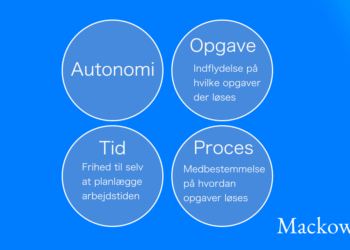 Autonomi via tid - opgave - proces infografik
