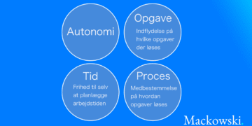 Autonomi via tid - opgave - proces infografik