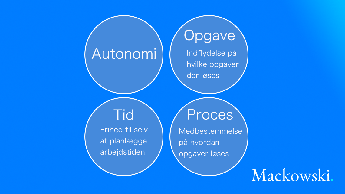 Autonomi via tid - opgave - proces infografik