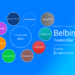 Belbins 9 teamroller infografik på dansk