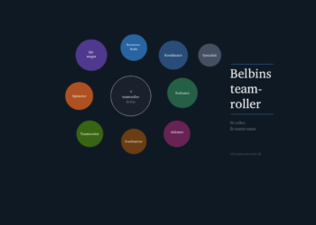 Belbins teamroller - infografik på dansk med alle teamroller