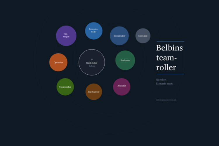 Belbins teamroller - infografik på dansk med alle teamroller