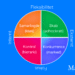 Competing values framework infografik af Leder Nikolaj Mackowski