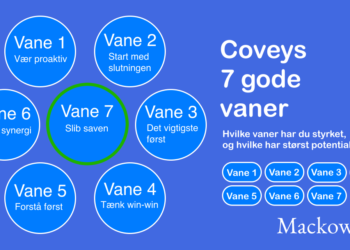 Coveys de 7 gode vaner test infografik
