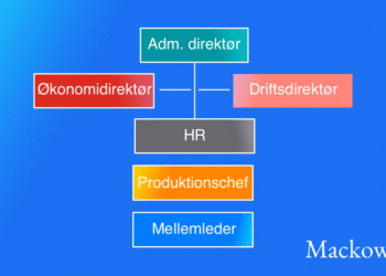 Eksempel på hierarki i et forsimplet organisationsdiagram infografik