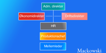 Eksempel på hierarki i et forsimplet organisationsdiagram infografik
