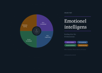 Emotionel intelligens test infografik på dansk af Leder Nikolaj Mackowski.