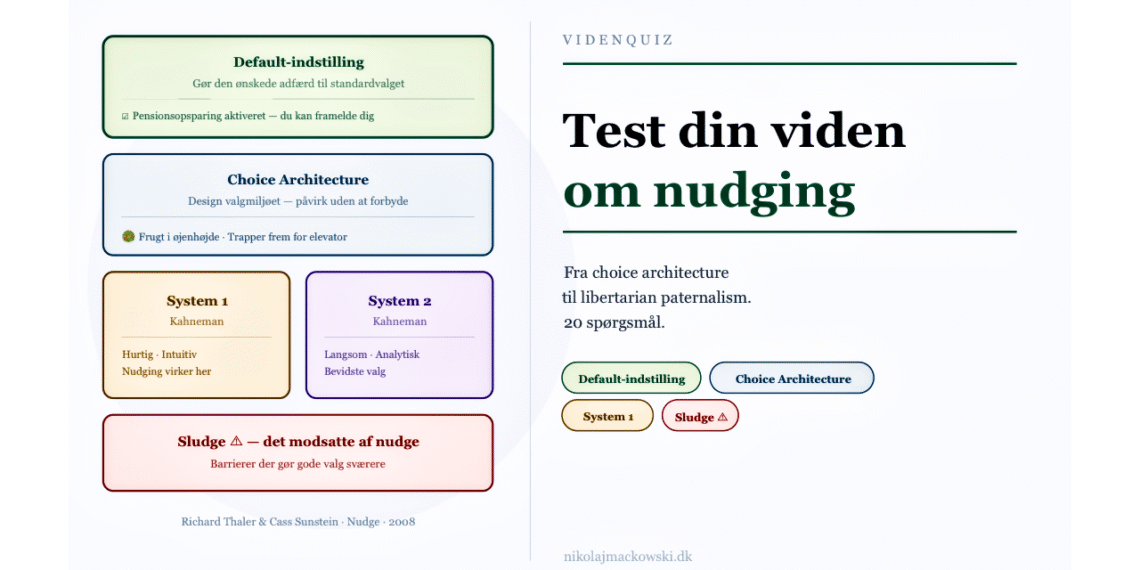 Nudging test online infografik på dansk.