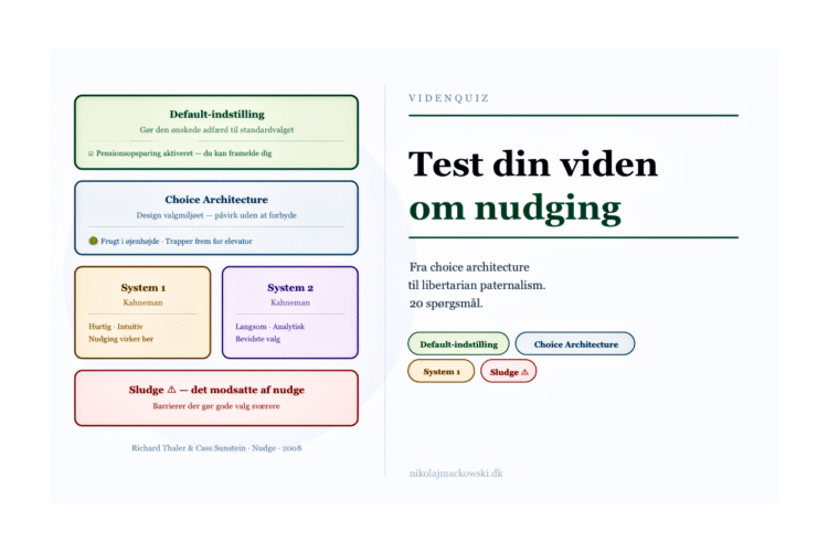 Nudging test online infografik på dansk.