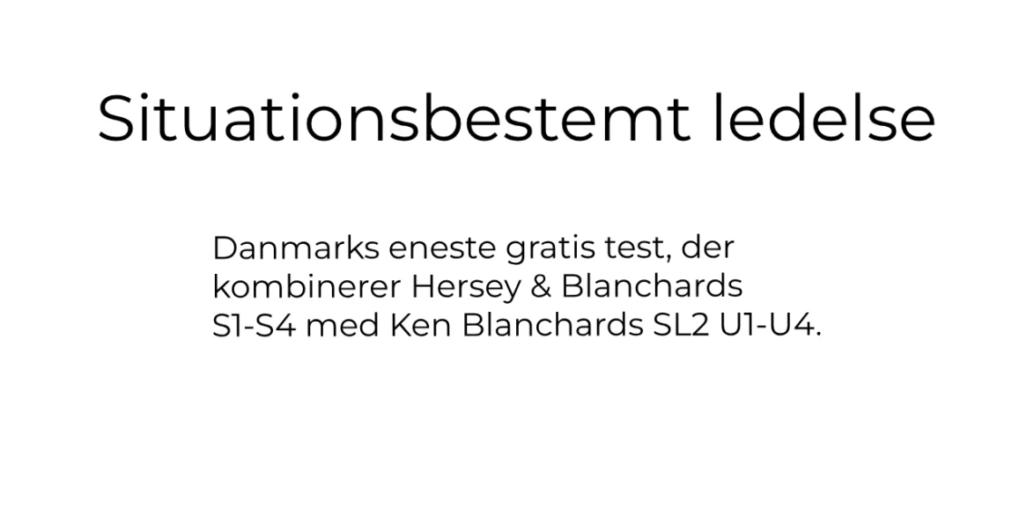 Situationsbestemt ledelse online test - af Leder Nikolaj Mackowski V2.1