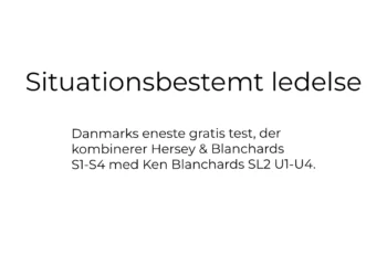 Situationsbestemt ledelse online test - af Leder Nikolaj Mackowski V2.1