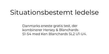Situationsbestemt ledelse online test - af Leder Nikolaj Mackowski V2.1
