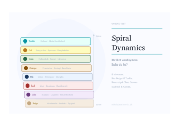 Spiral Dynamics infografik i mange farver af Leder Nikolaj Mackowski